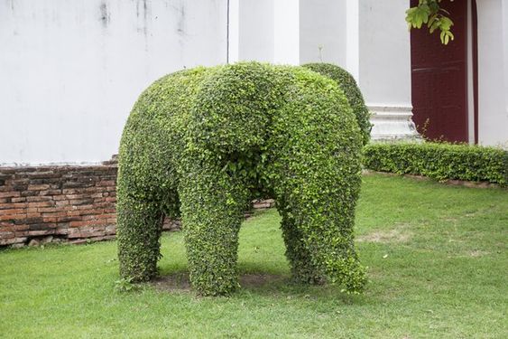 slon vytvarován ze křoví