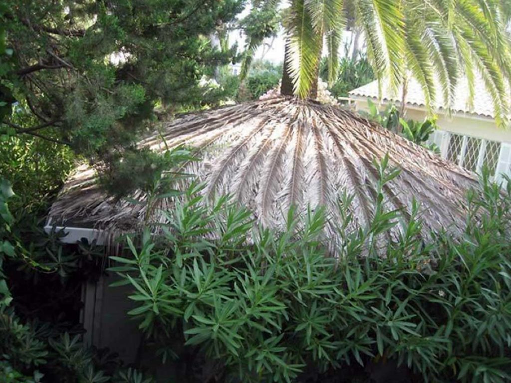 palmová střecha zahradního domku
